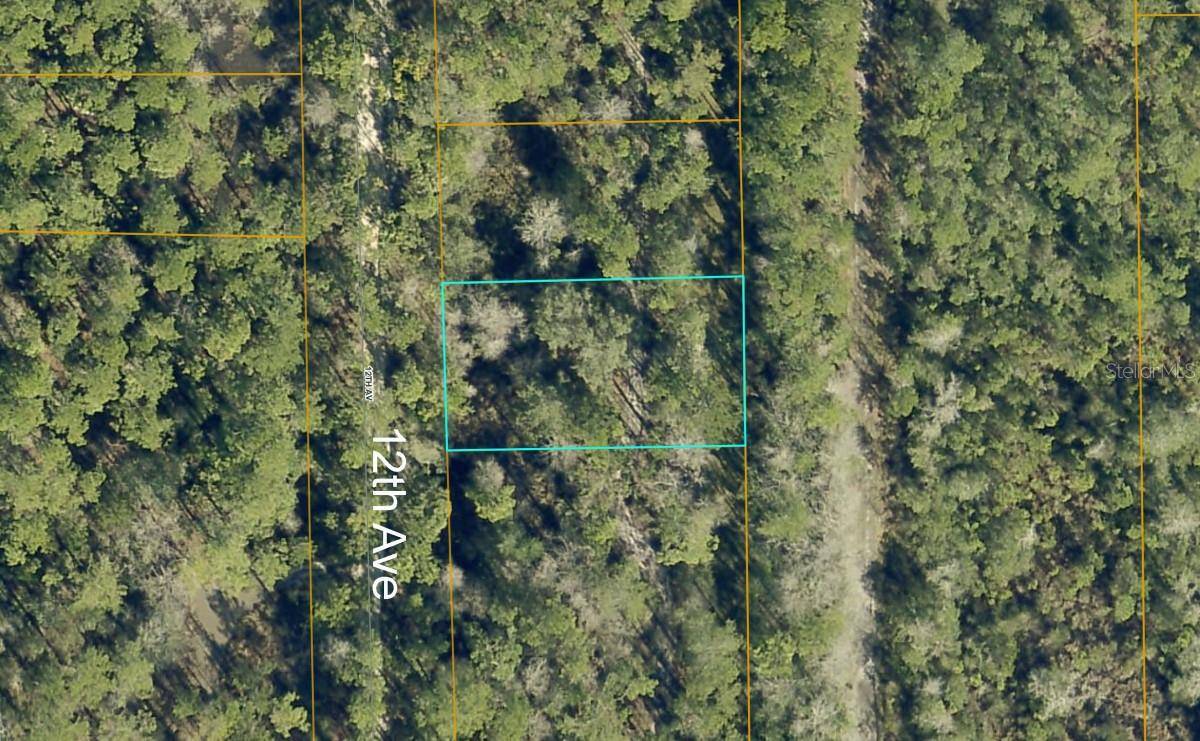 Deland, FL 32724,12TH AVE