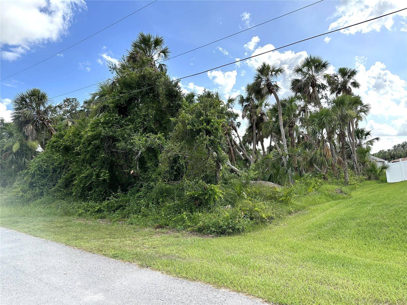 North Port, FL 34288,Lot 16 ANDY RD