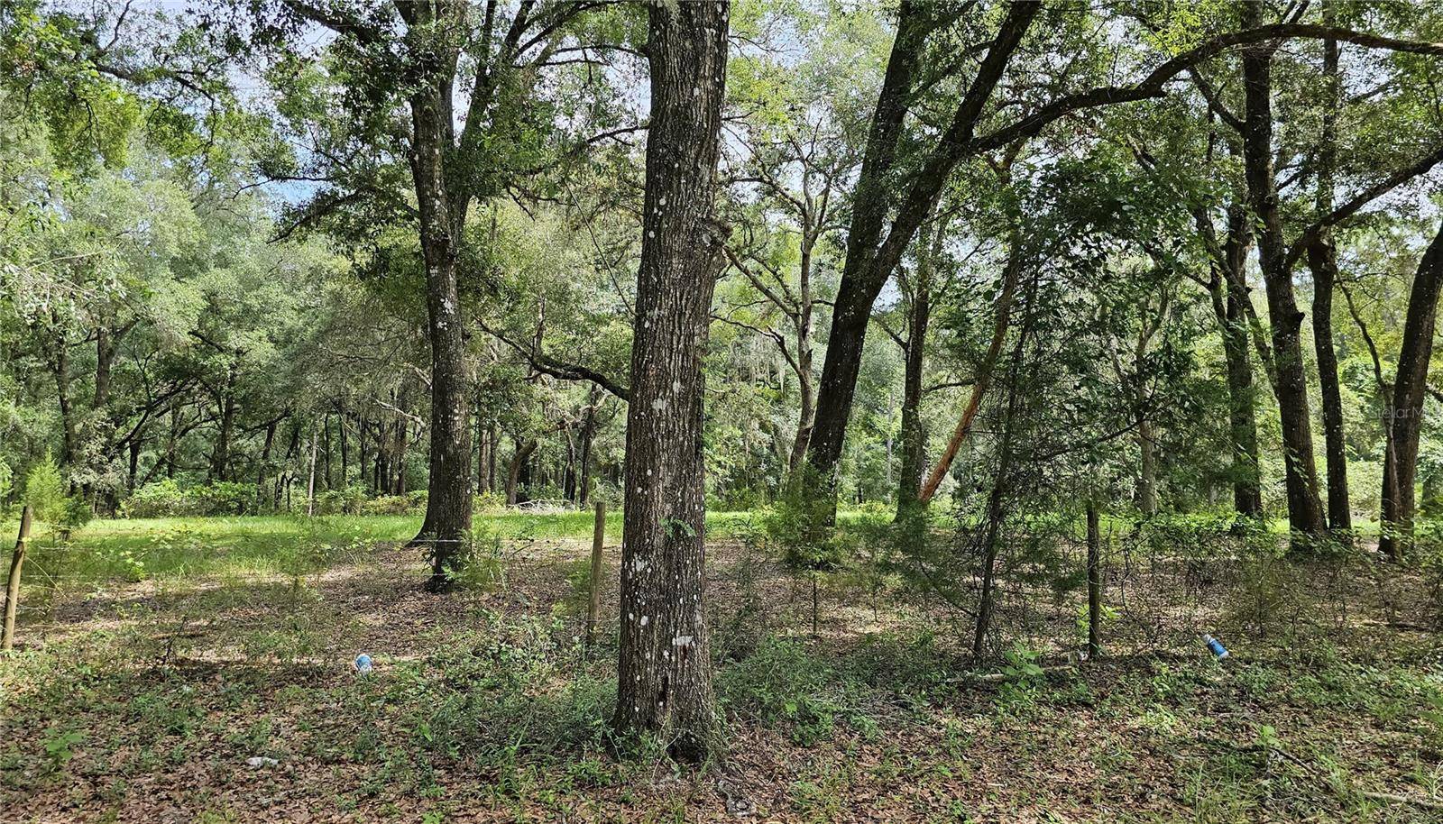 Bushnell, FL 33513,00 SUMTER COUNTY 643 LOT #72 RD