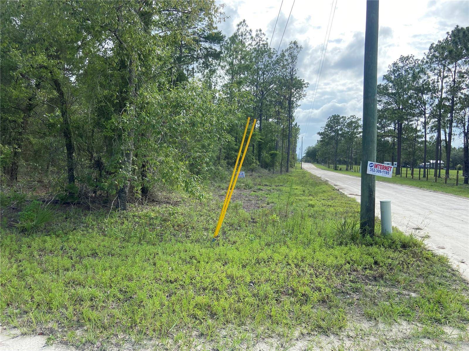 Morriston, FL 32668,00 SE 20 ST