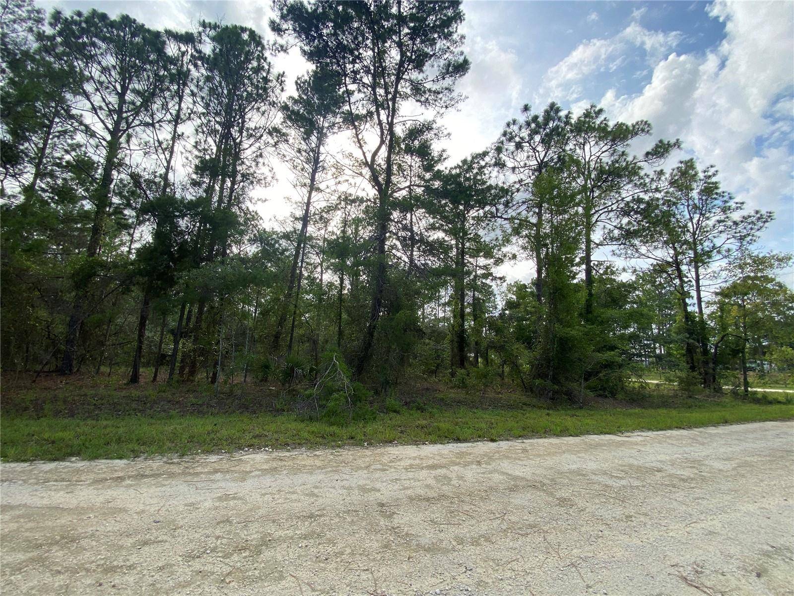 Morriston, FL 32668,00 SE 20 ST