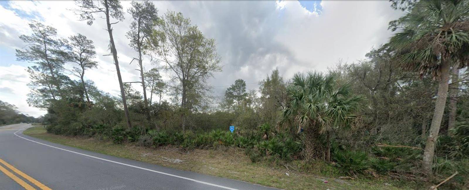 Paisley, FL 32767,27654 COUNTY ROAD 42