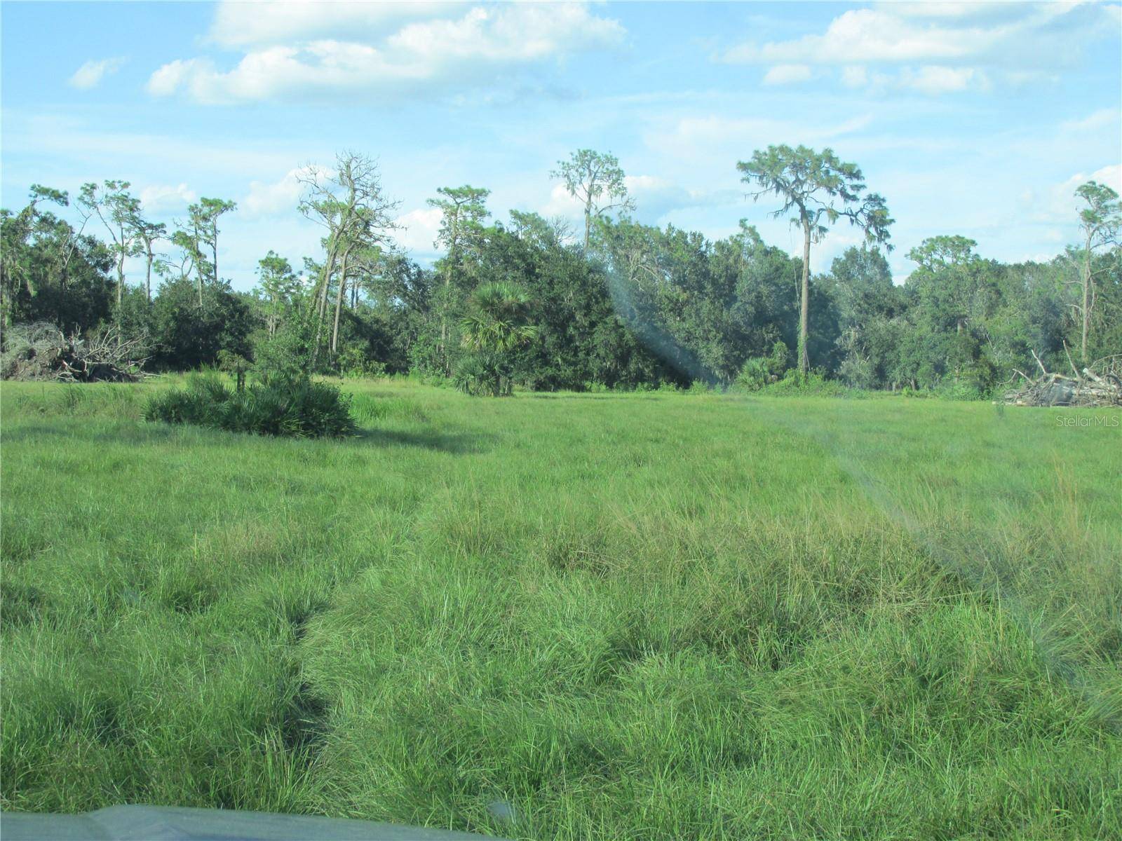 Myakka City, FL 34251,CLAY GULLY RD