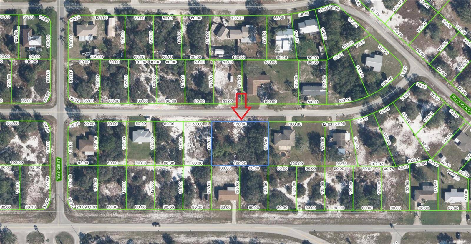 Lake Placid, FL 33852,3036 BUTTERCUP LN