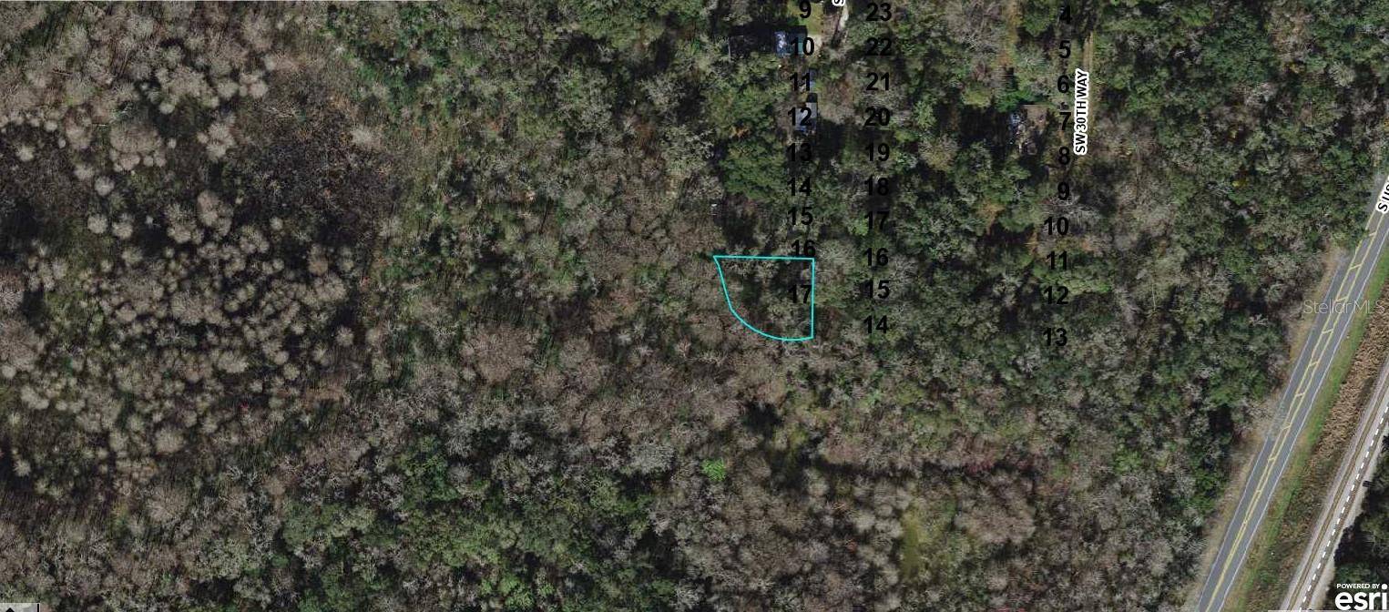 Webster, FL 33597,12174 SW 30TH DR