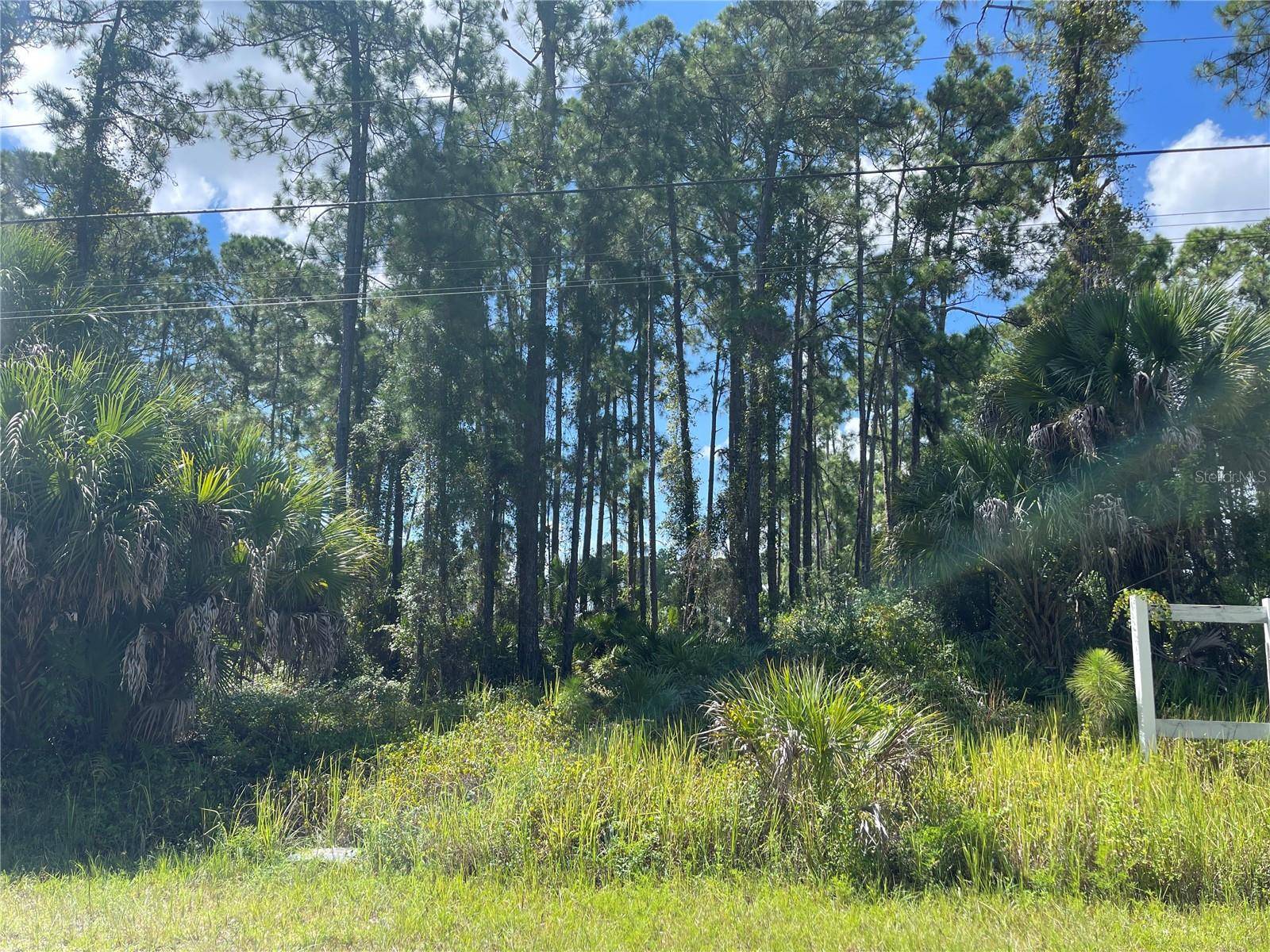 North Port, FL 34288,NOPPENBERG AVE #LOT 30