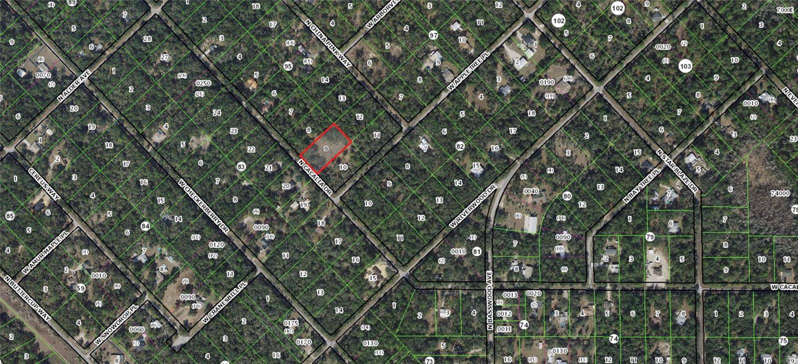 Crystal River, FL 34428,9079 N CACALIA DR