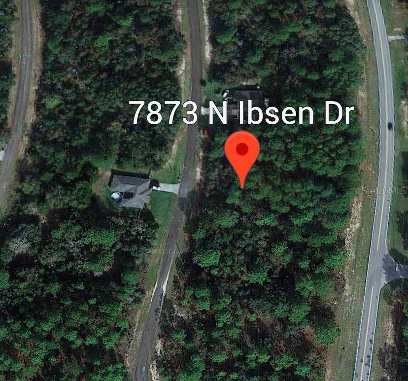 Citrus Springs, FL 34433,7873 N IBSEN DR