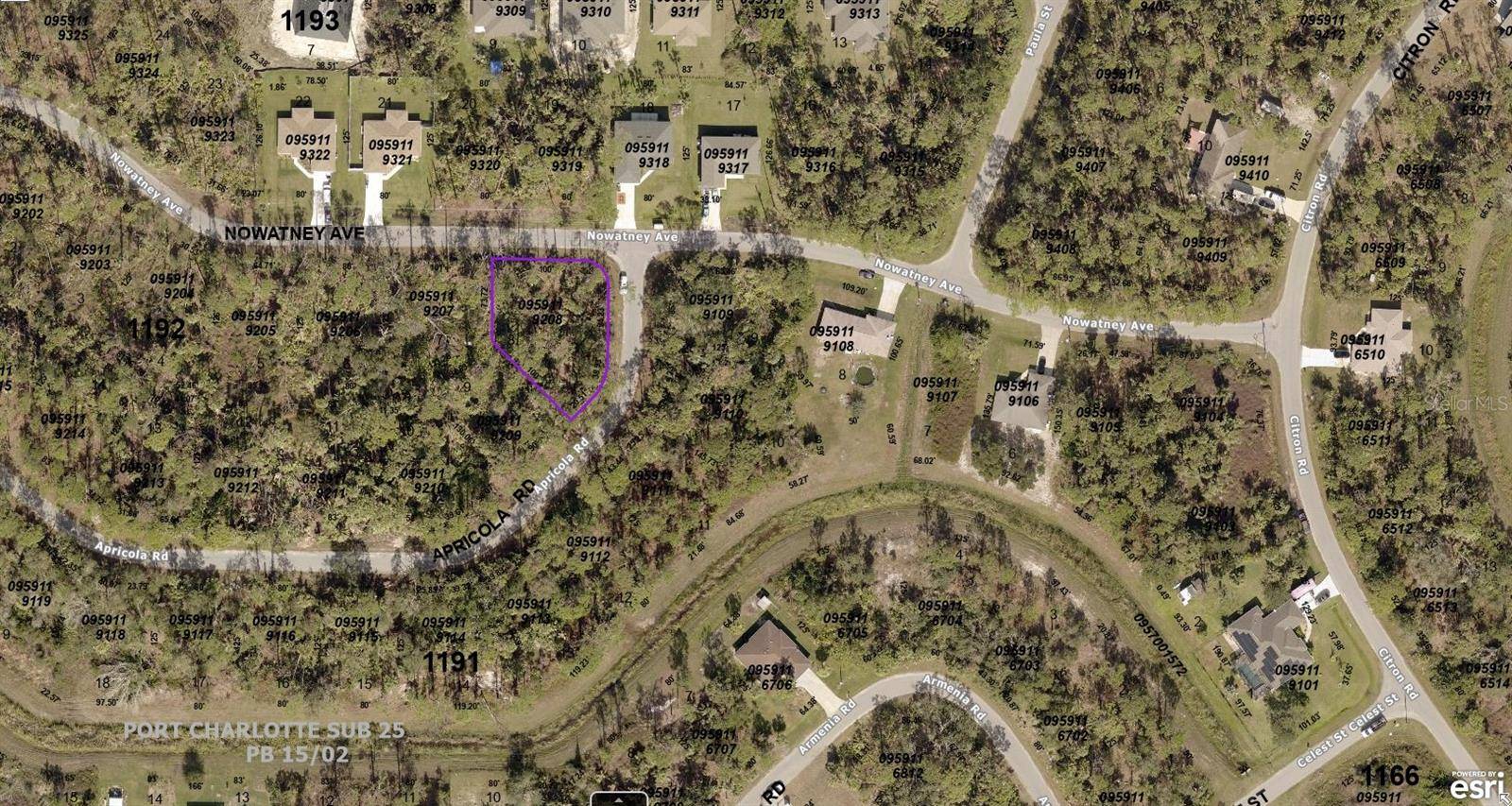 North Port, FL 34286,0959119208 APRICOLA RD