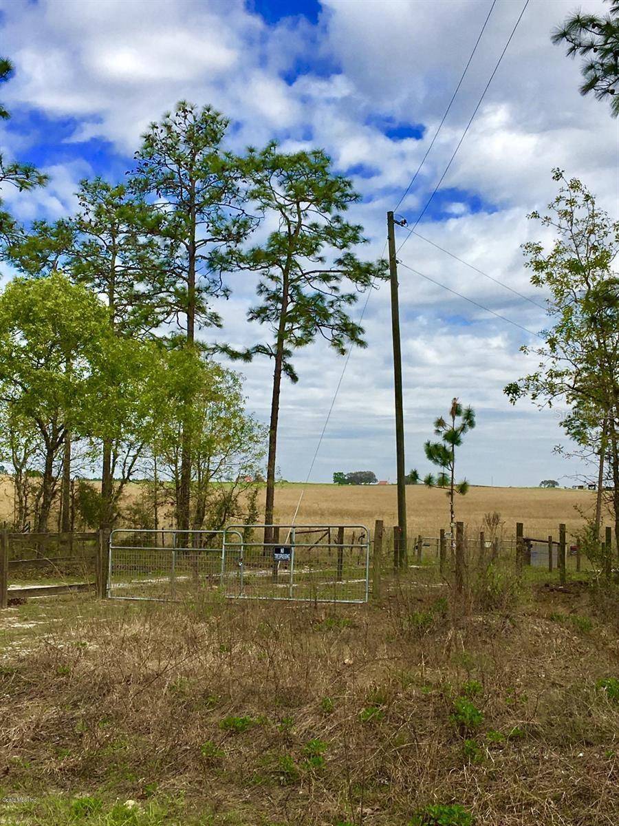 Dunnellon, FL 34431,NW FALCON AVE