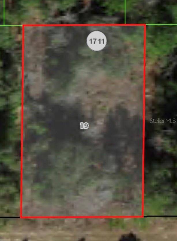 Citrus Springs, FL 34434,1729 W PENDLETON ST