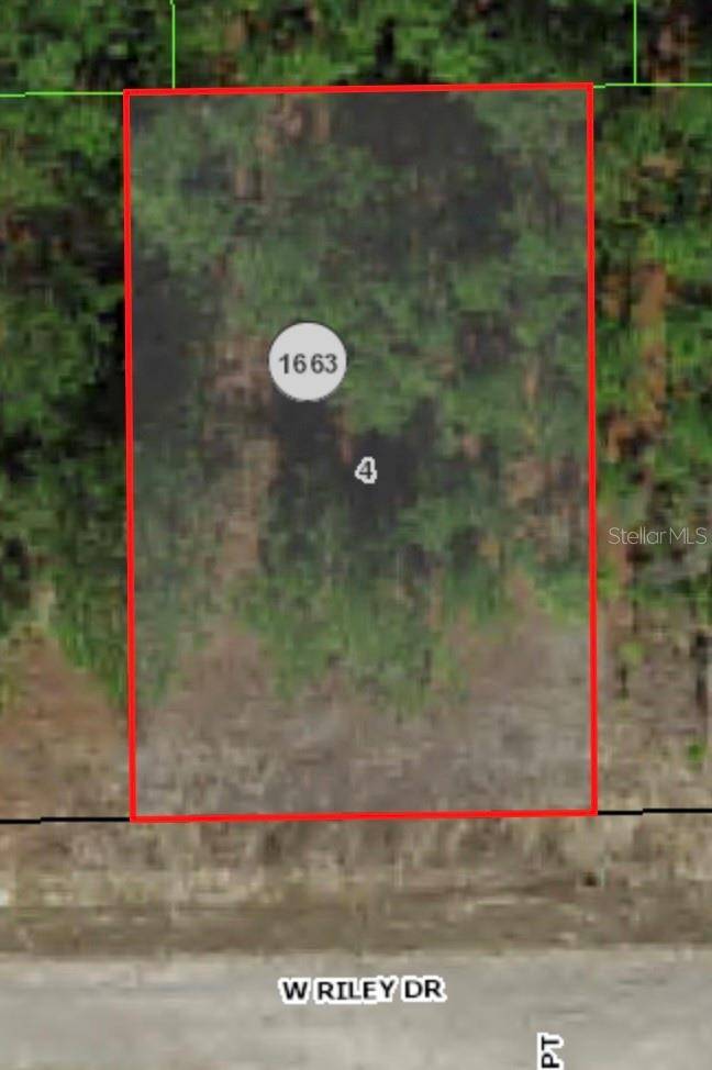 Citrus Springs, FL 34434,1233 W RILEY DR
