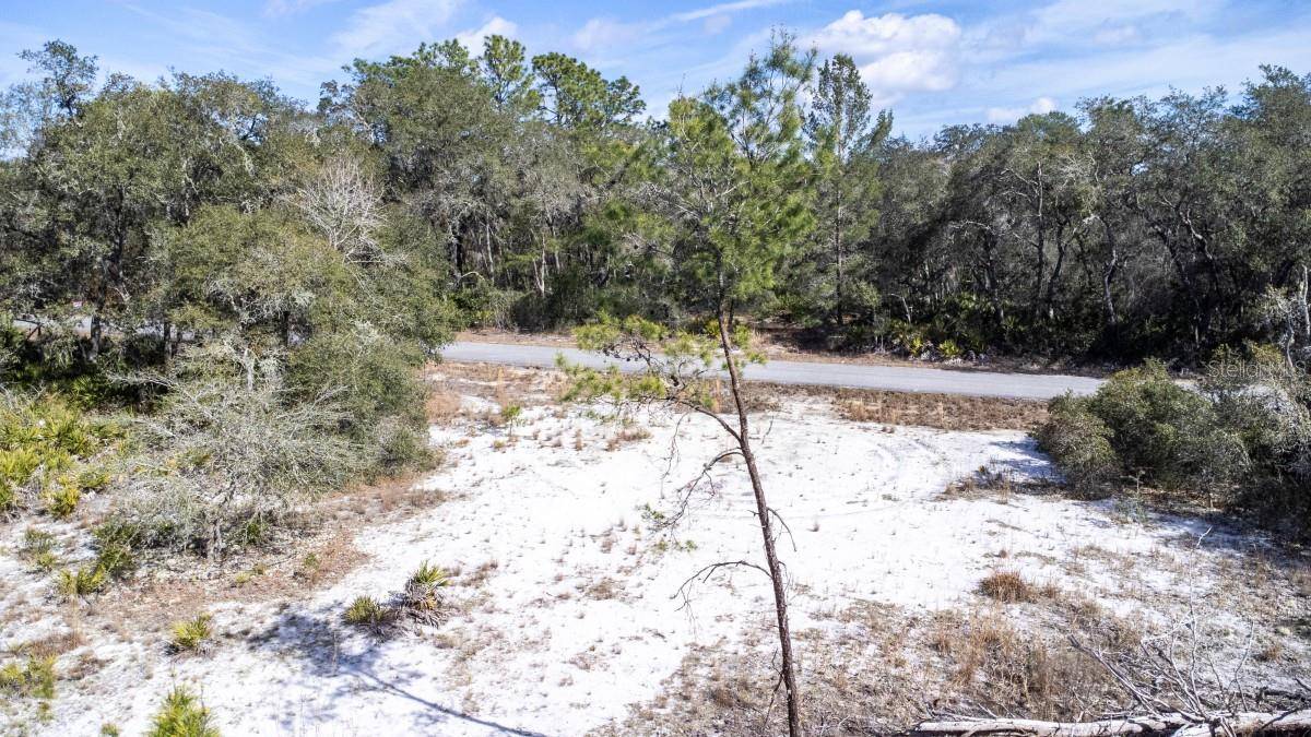 Ocklawaha, FL 32179,Lot 5 FISHER TER