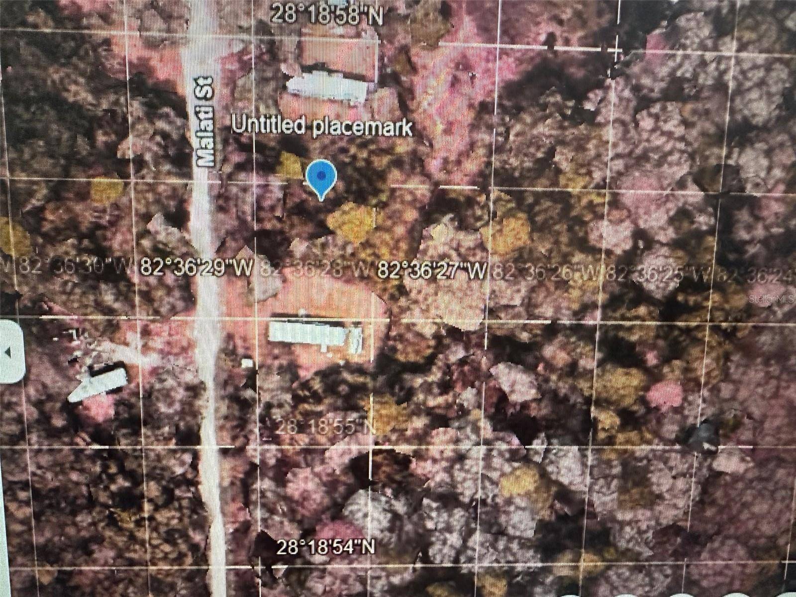 New Port Richey, FL 34654,MALATI ST