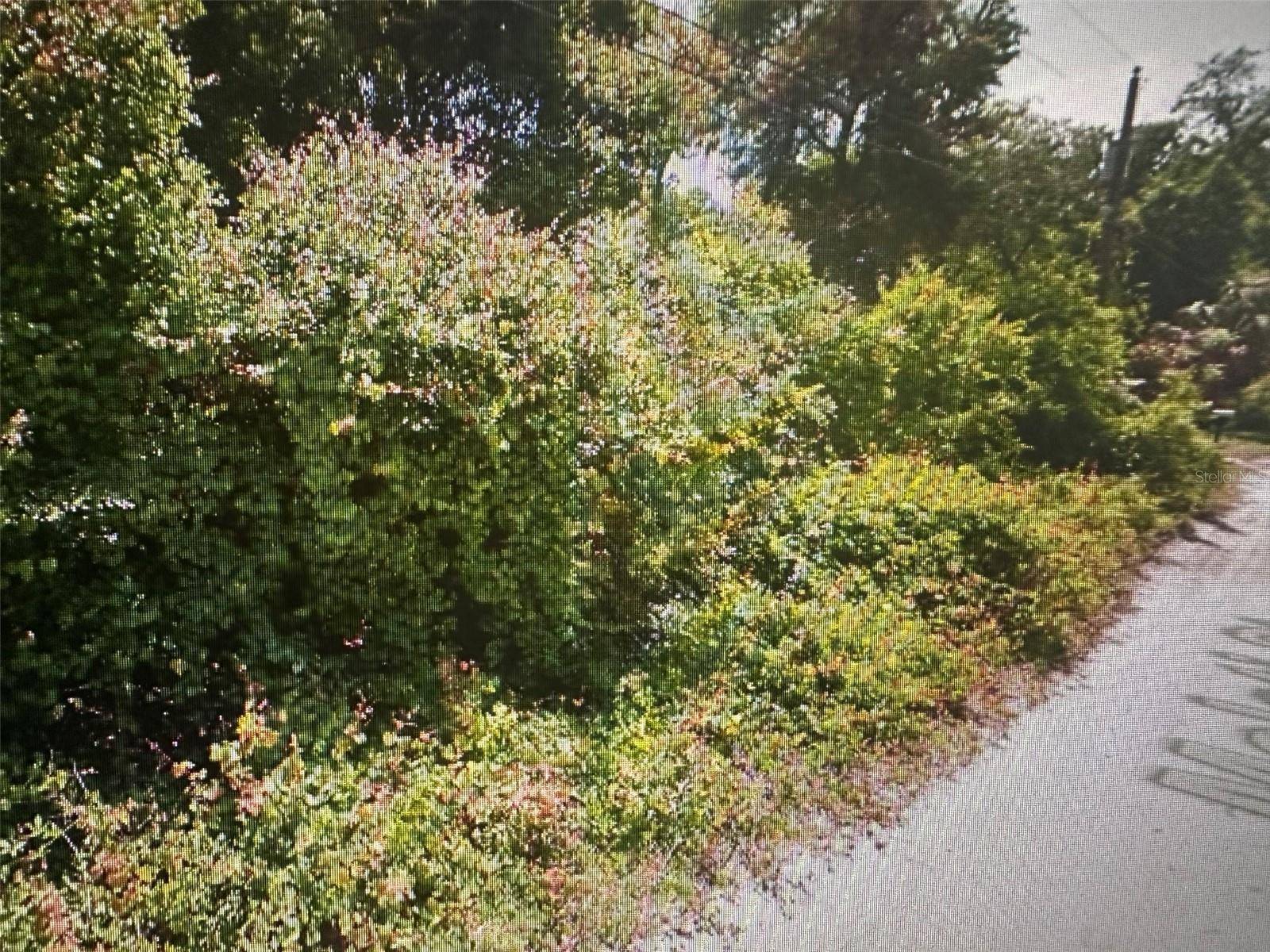 New Port Richey, FL 34654,MALATI ST