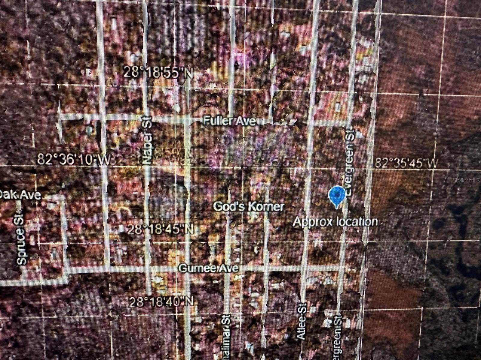 New Port Richey, FL 34654,EVERGREEN ST