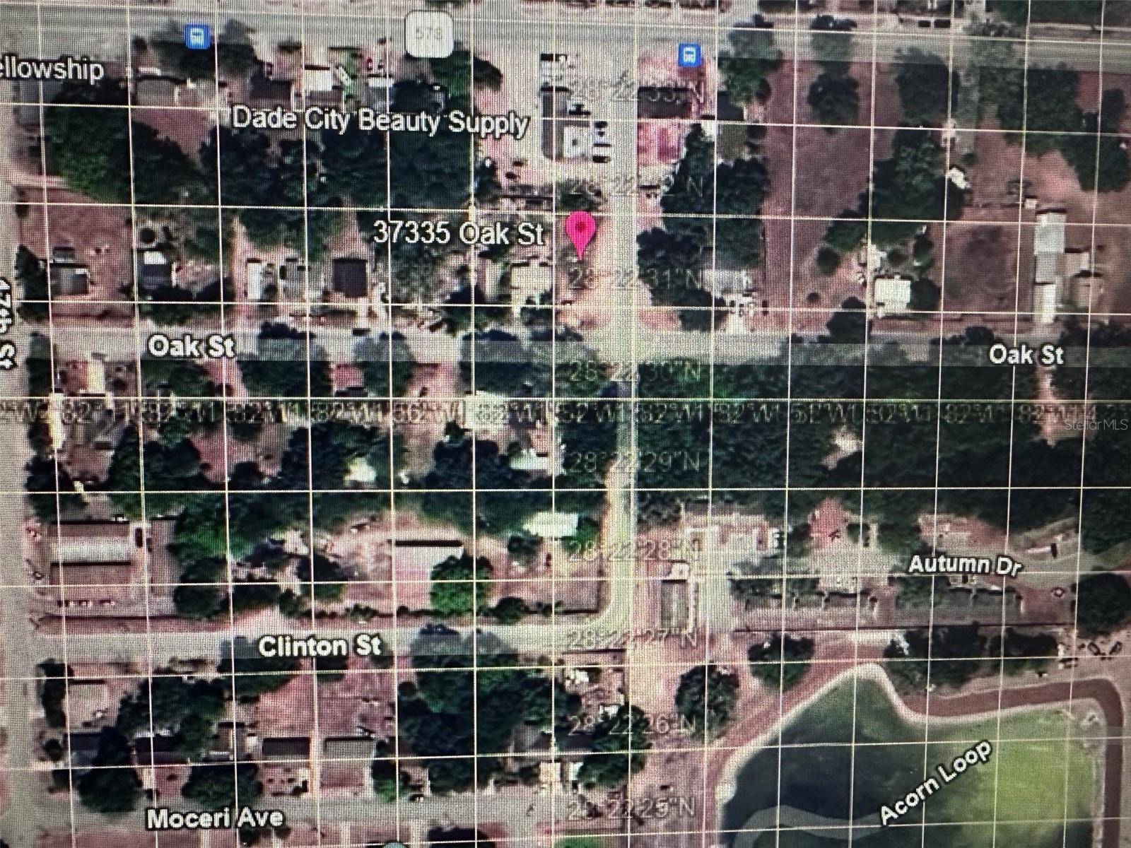 Dade City, FL 33523,37335 OAK ST