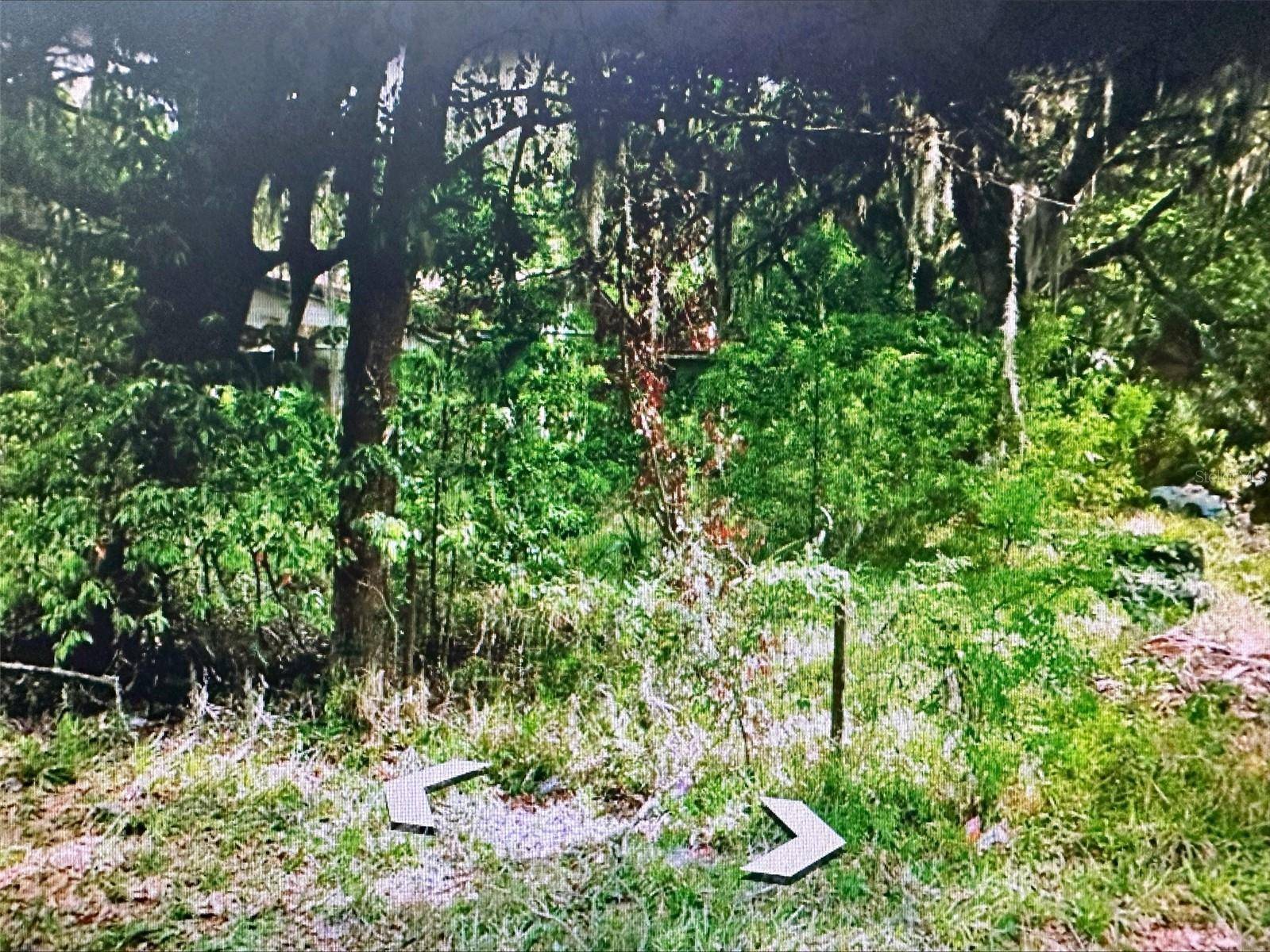 Palatka, FL 32177,409 W TOWLES AVE