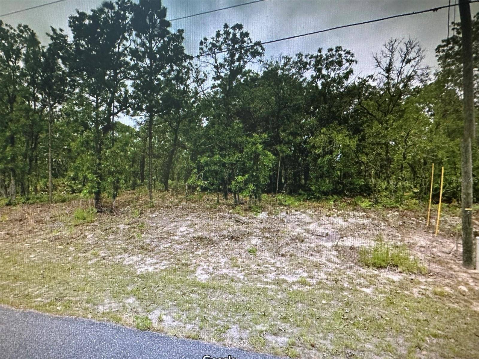 Citrus Springs, FL 34434,2466 W SWANSON DR