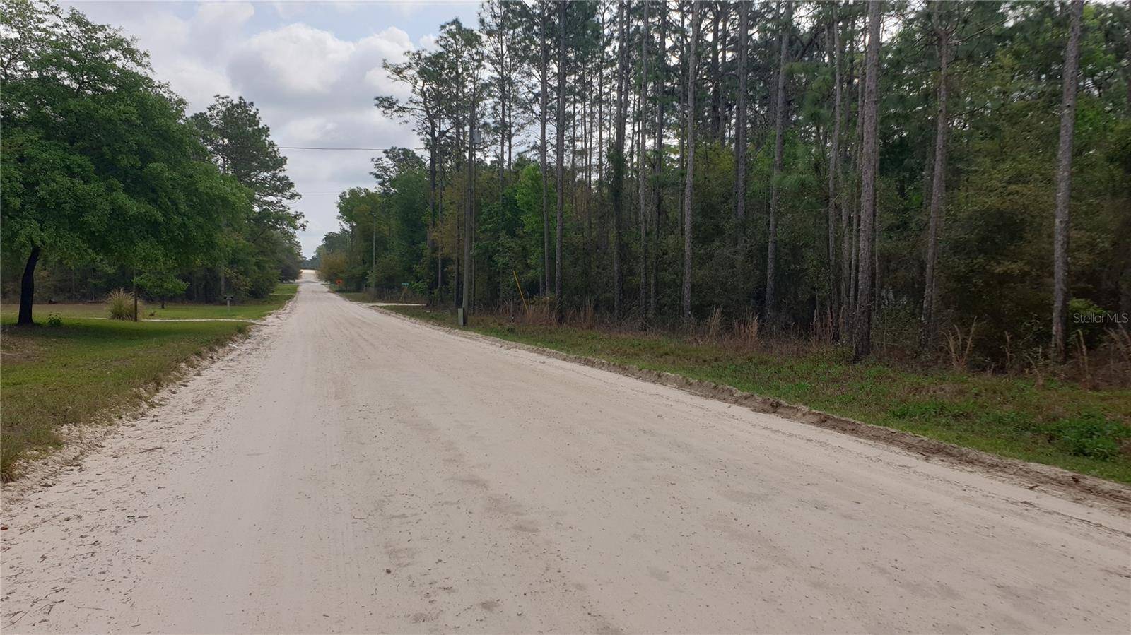 Morriston, FL 32668,TBD SE 25 ST