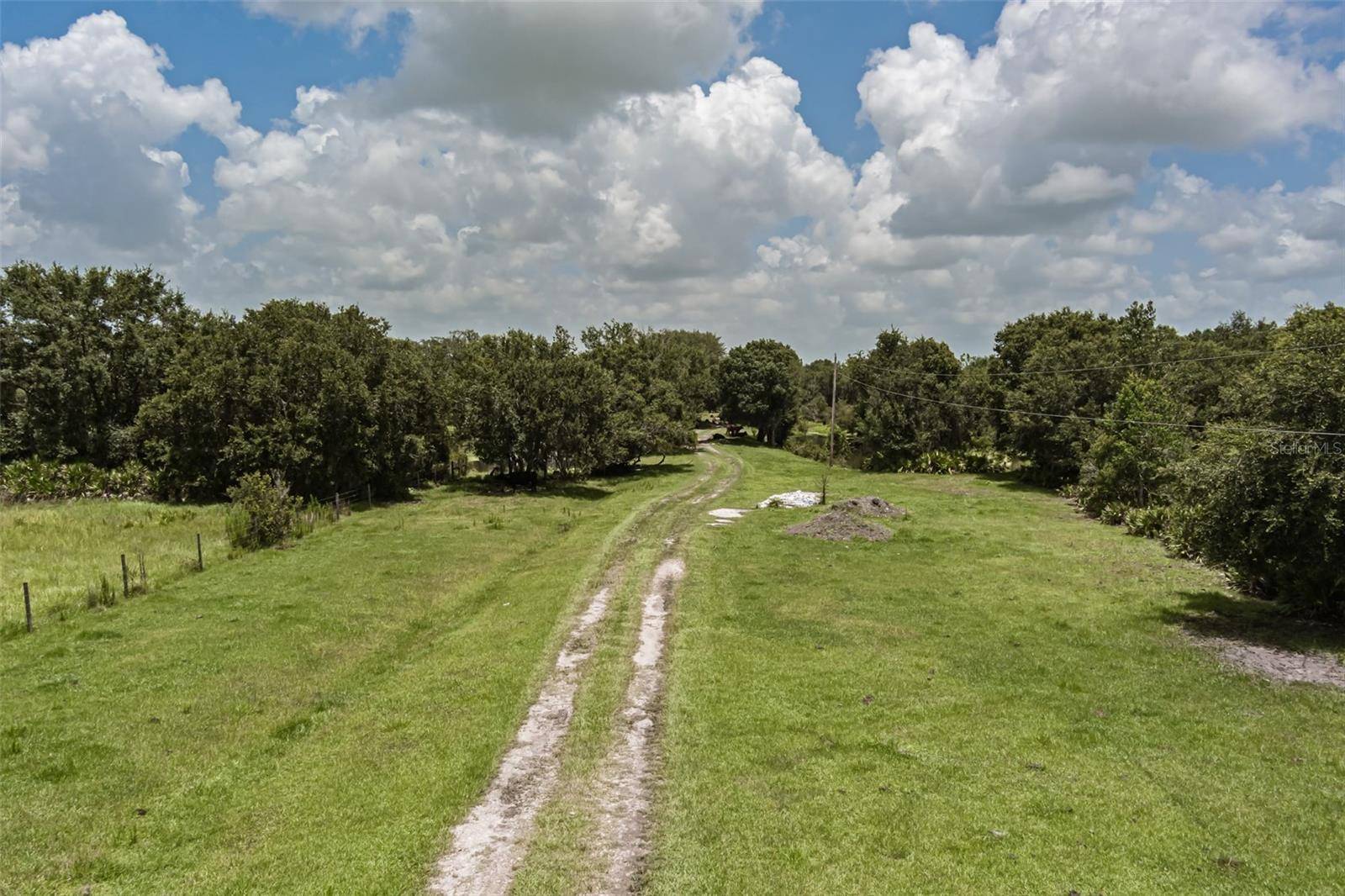 Myakka City, FL 34251,43355 CLAY GULLY RD