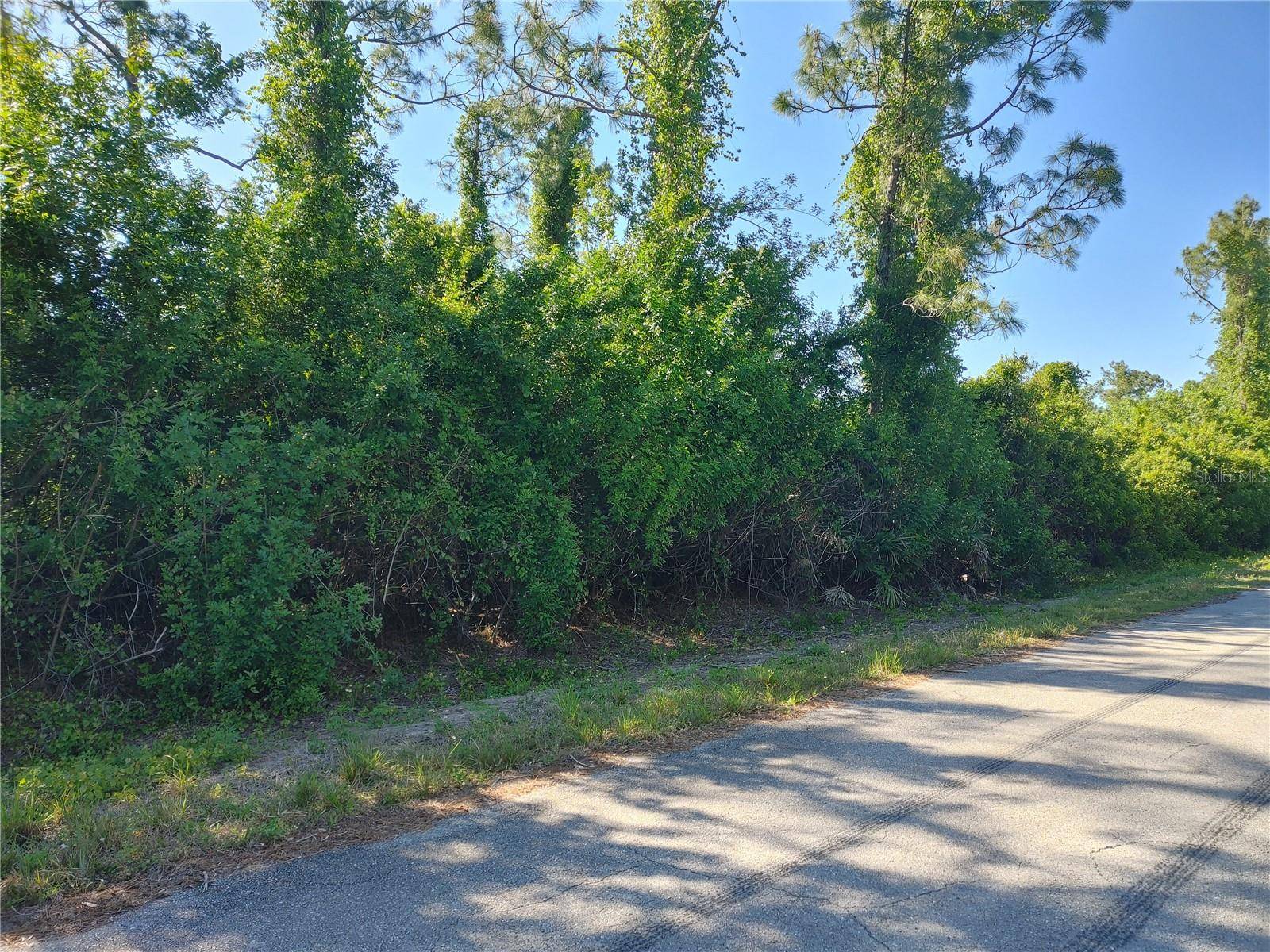 Lehigh Acres, FL 33972,1505 LAKE AVE