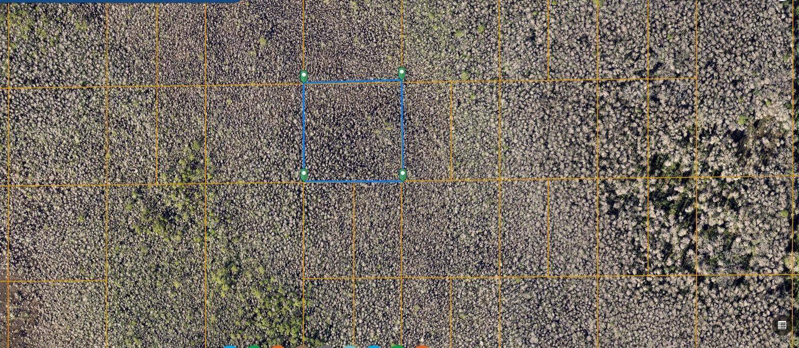 Deland, FL 32724,6129-01-02-0220 INACCESSIBLE TRAK