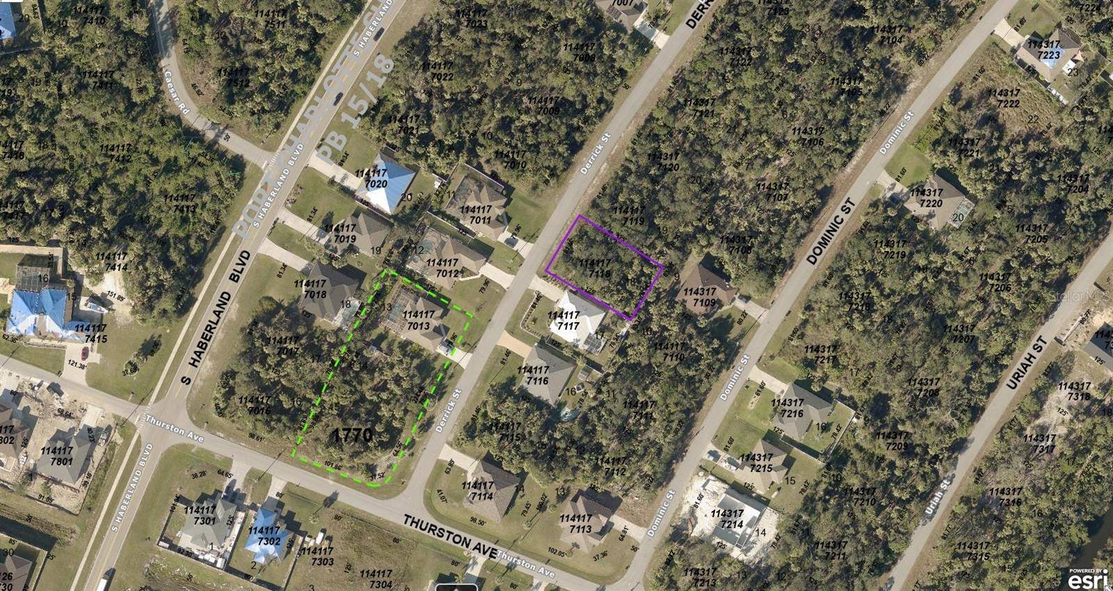 North Port, FL 34288,1141177118 DERRICK ST