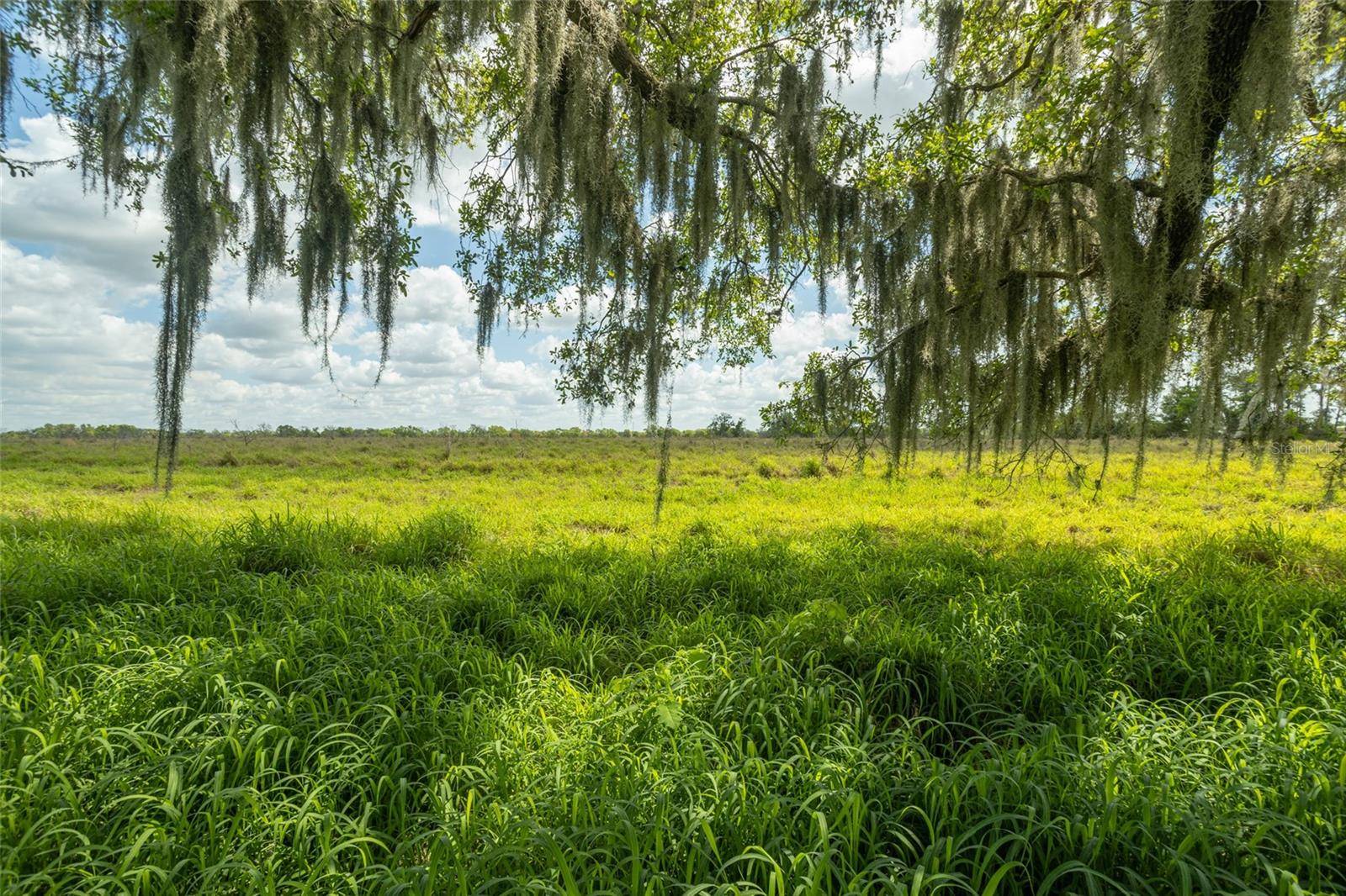 Myakka City, FL 34251,26315 SR-64 E