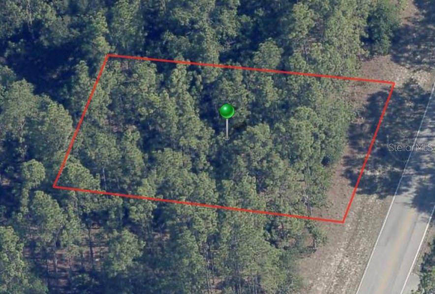 Citrus Springs, FL 34434,8150 N SANTOS DR