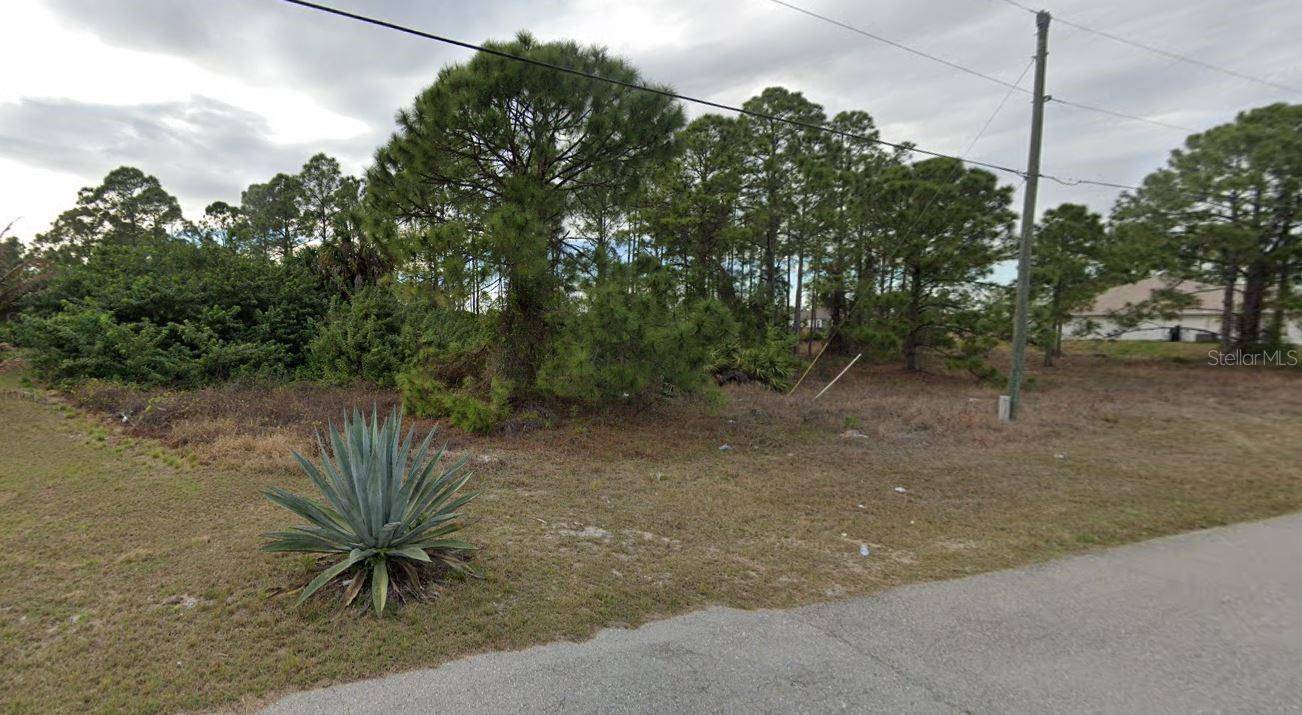 Lehigh Acres, FL 33976,2904 VERA AVE S