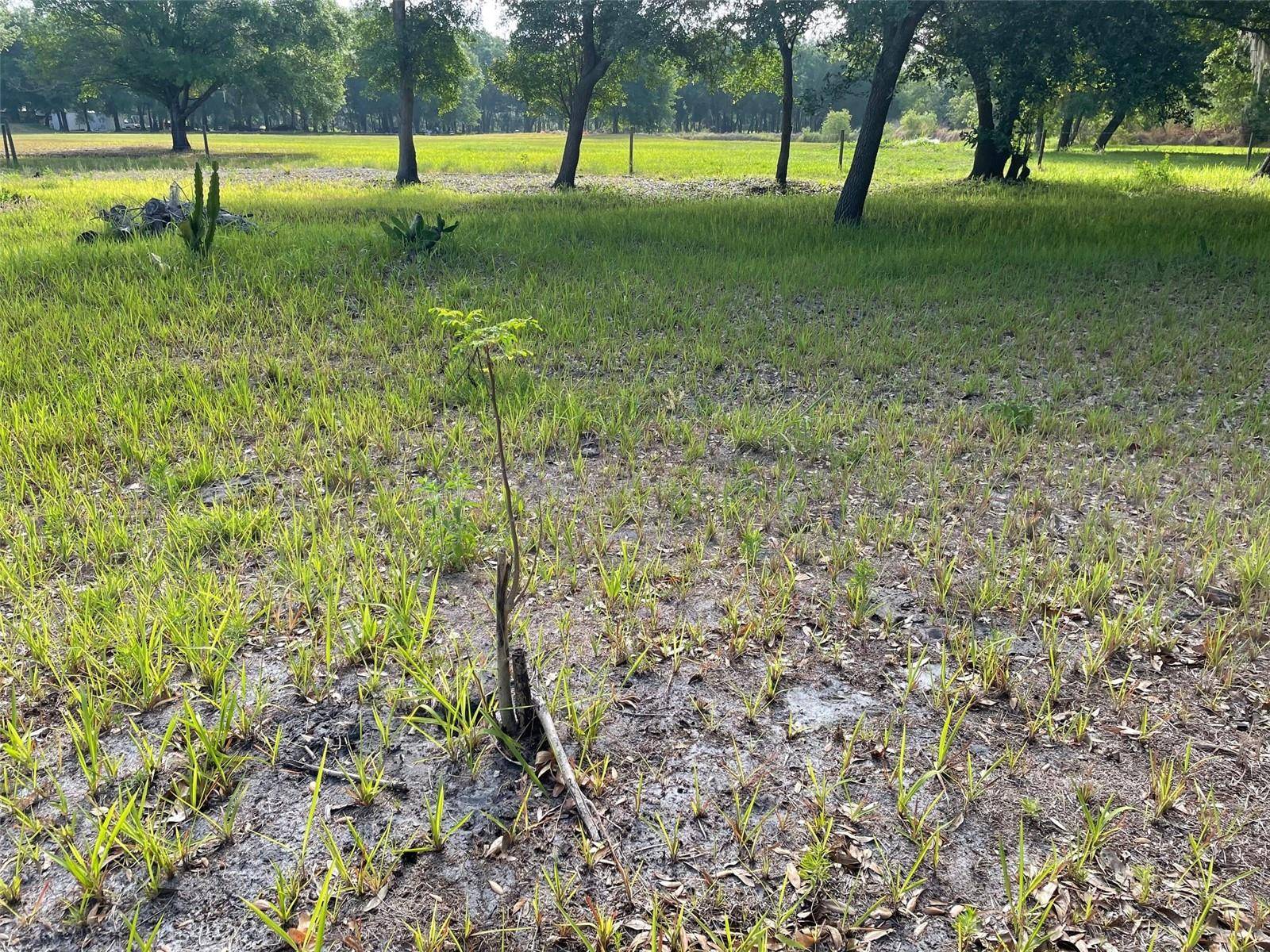 Duette, FL 34219,40165 ALBRITTON RD
