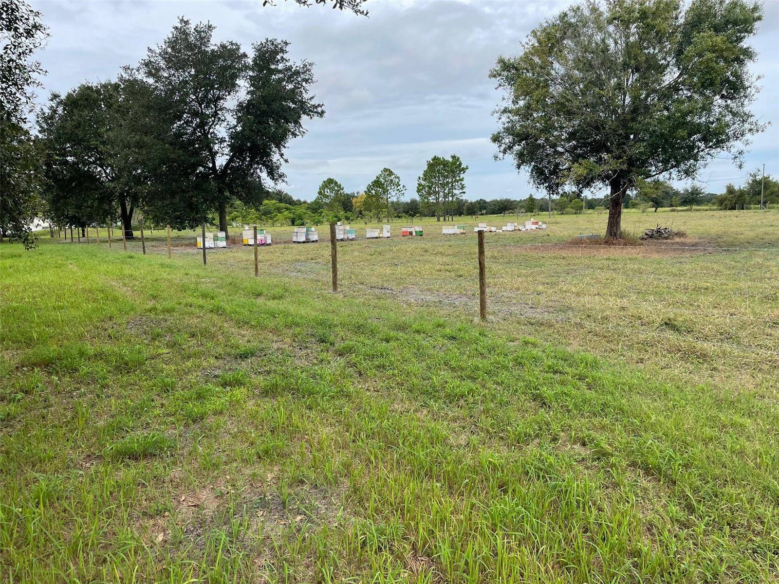 Duette, FL 34219,40165 ALBRITTON RD