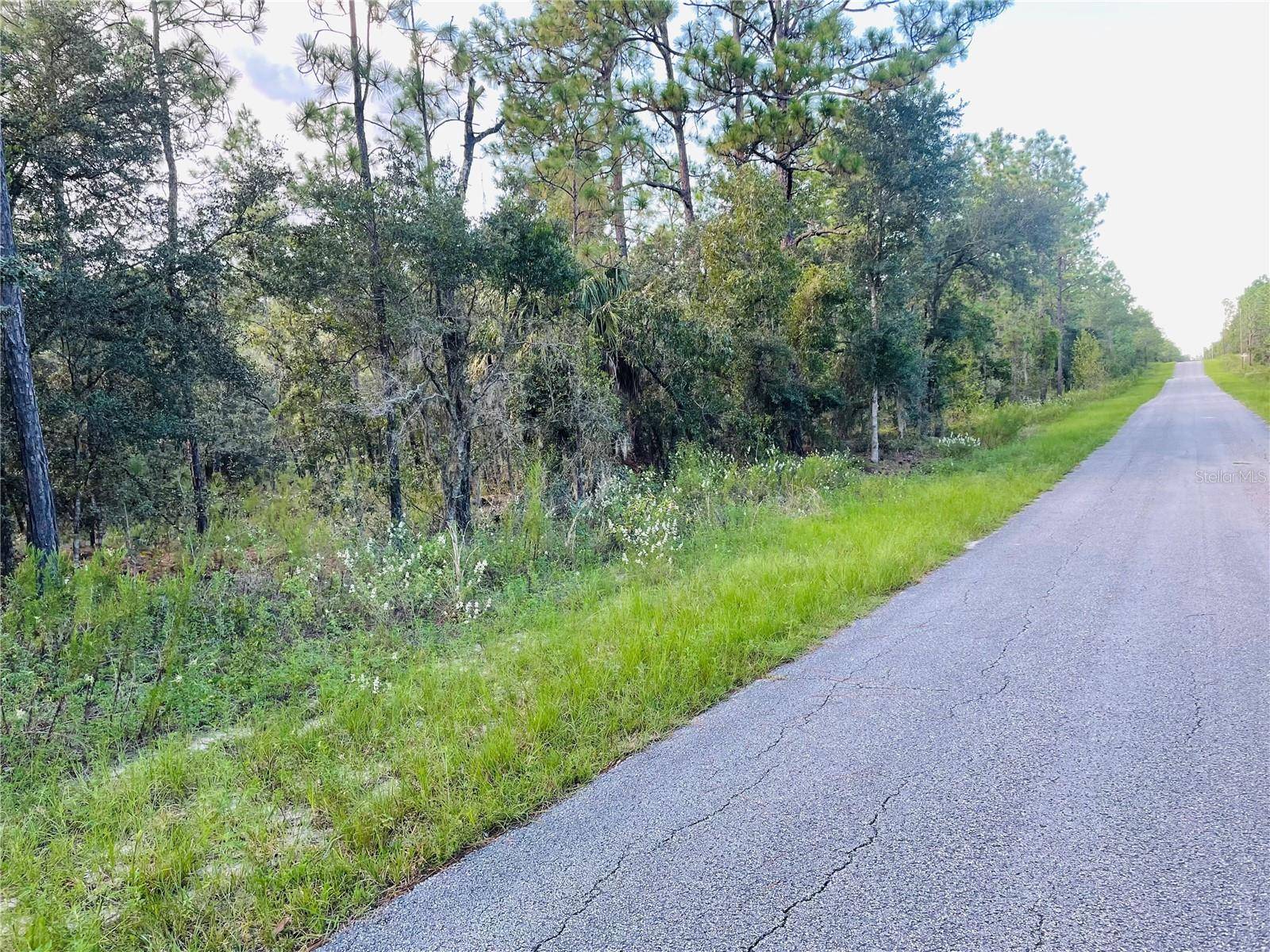 Dunnellon, FL 34431,SE 129 CT