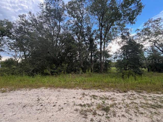 Morriston, FL 32668,TBD SE 71ST LN