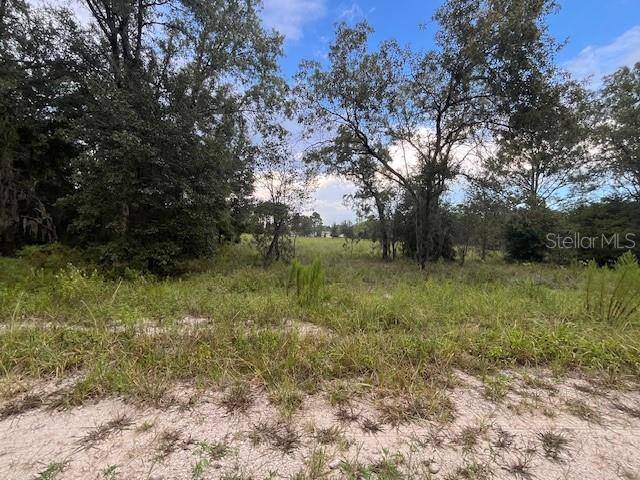 Morriston, FL 32668,TBD SE 71ST LN