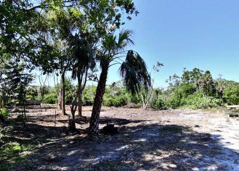 Venice, FL 34293,0450080011 ALLIGATOR PL