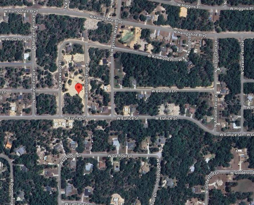 Dunnellon, FL 34433,6248 N HOBSON TER