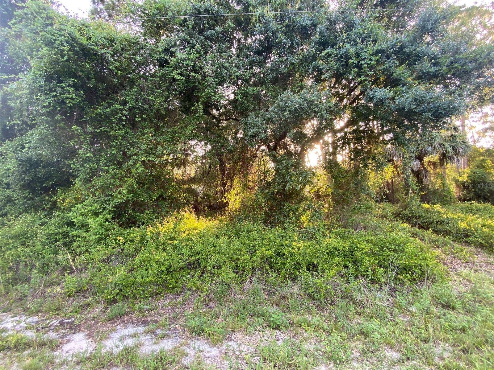 North Port, FL 34291,TYSON ST #Lot 3