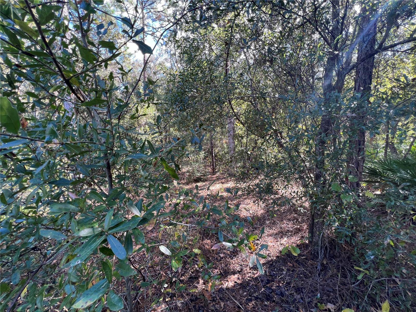 Crystal River, FL 34429,5650 W KETTLE LN