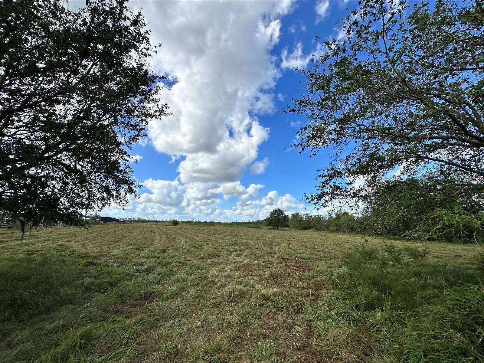 Myakka City, FL 34251,WAUCHULA RD