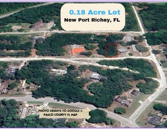 New Port Richey, FL 34654,0 FERN ST