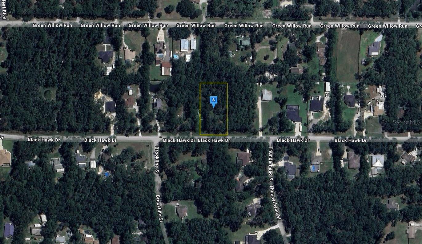 Wesley Chapel, FL 33544,27401 BLACK HAWK DR