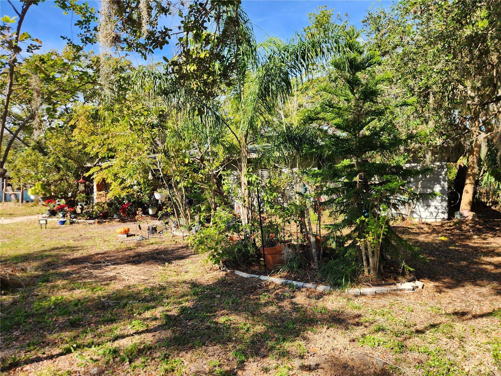 Sarasota, FL 34237,3181 IRVING ST