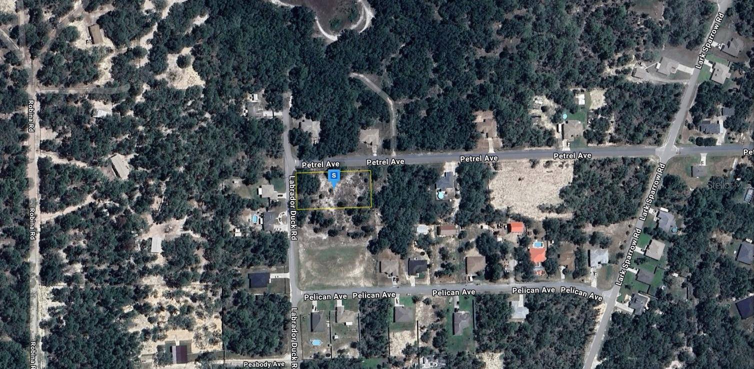 Weeki Wachee, FL 34614,12194 LABRADOR DUCK RD