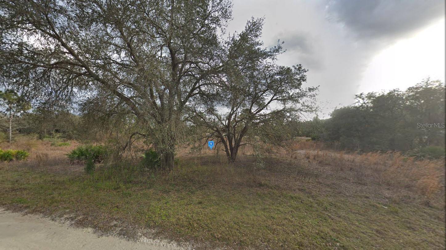 Weeki Wachee, FL 34614,12194 LABRADOR DUCK RD