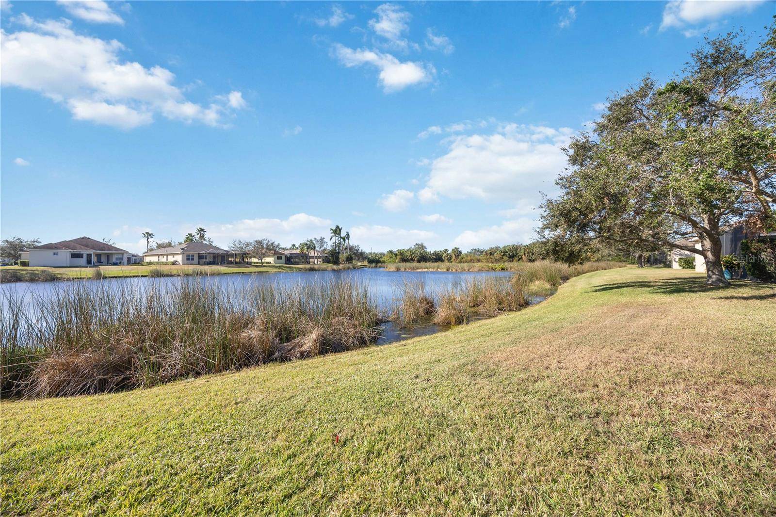 Bradenton, FL 34212,12343 LAVENDER LOOP