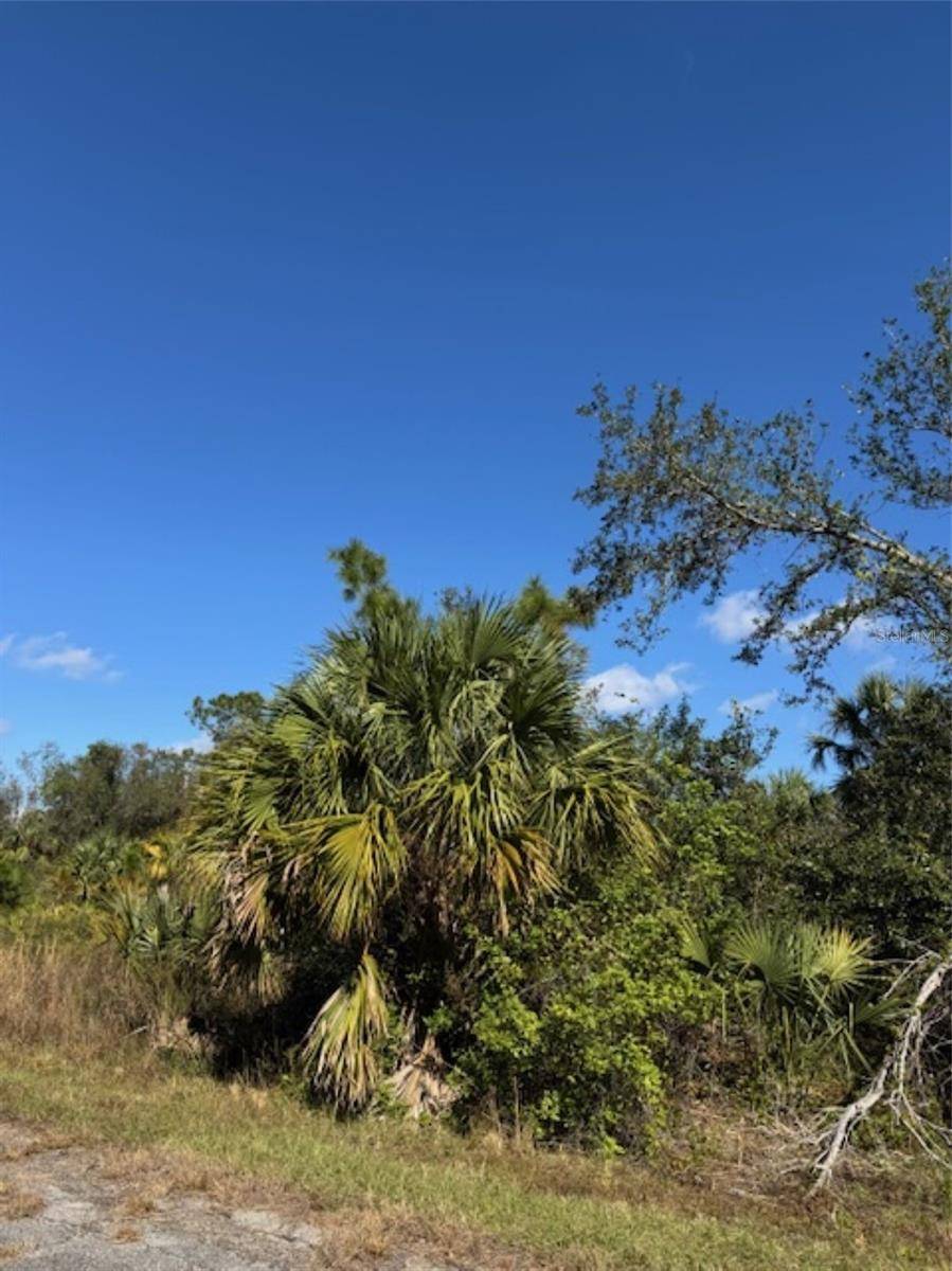 North Port, FL 34288,BUTTON ST