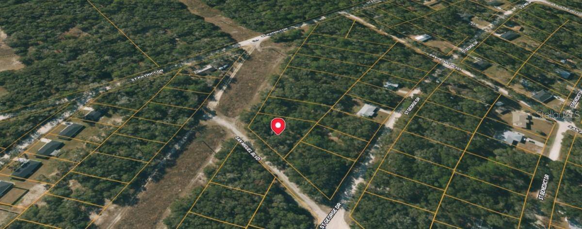 Dunnellon, FL 34434,0 SAN MIGUEL BLVD