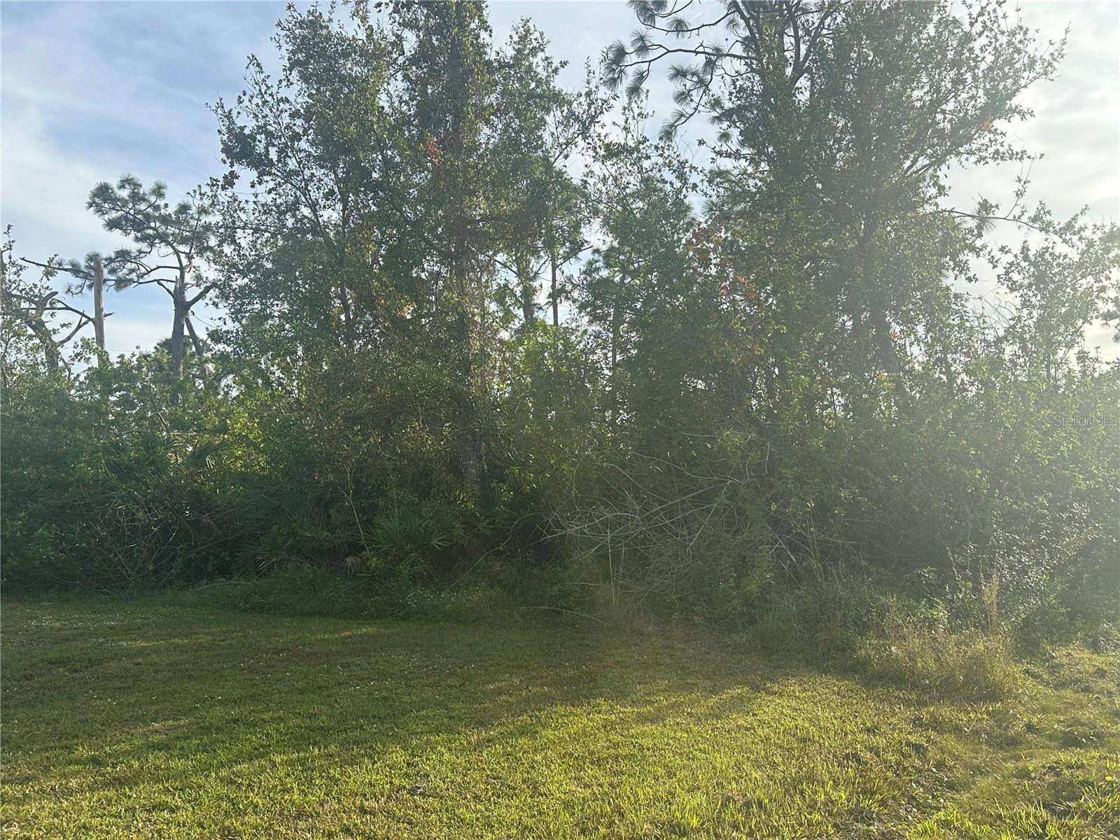 Port Charlotte, FL 33981,12405 FAIRWIND AVE